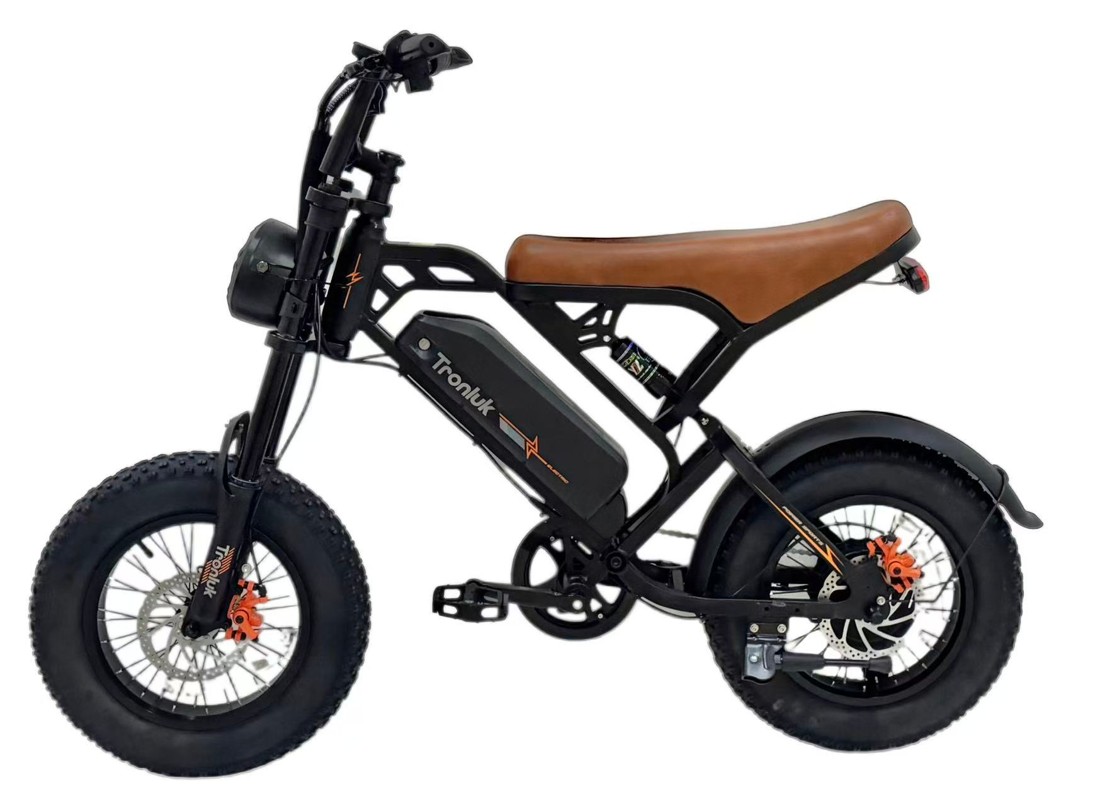 GQ-GT600 electric bike