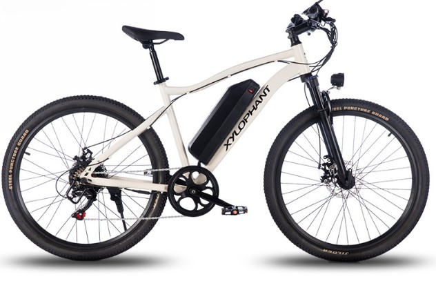 GQ-HX100 electric bike