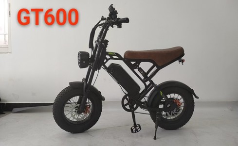 GQ-GT600 electric bike